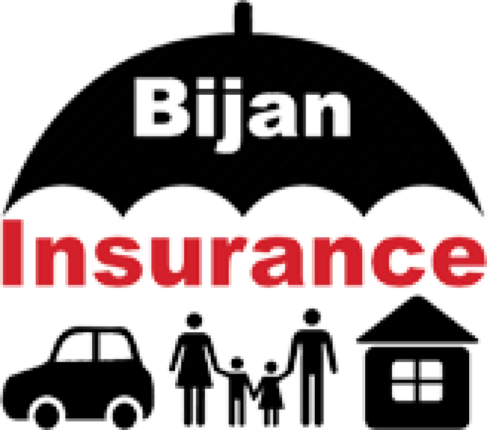 Bijan Insurance